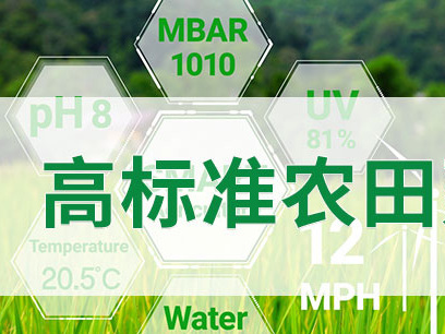 水肥一體化140畝滴灌項目